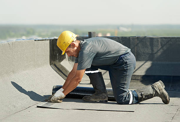 Best Insulation Removal  in Greensboro, GA